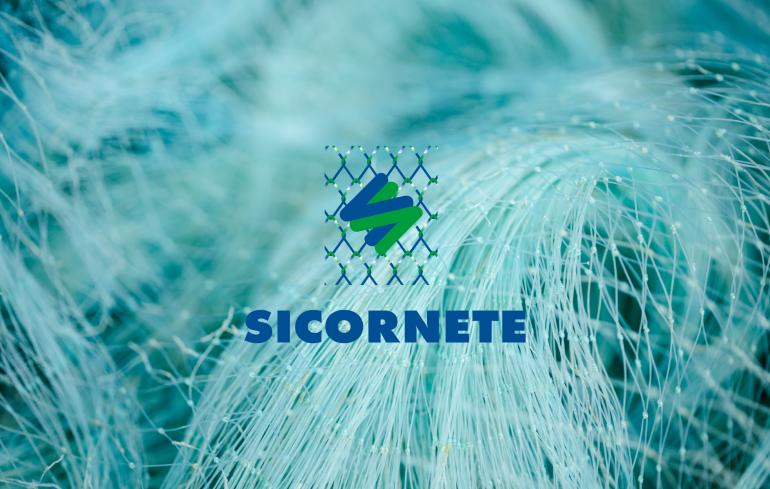 SICORNETE is founded