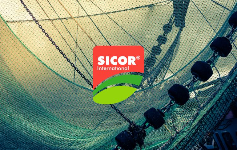 SICOR INTERNATIONAL is installed